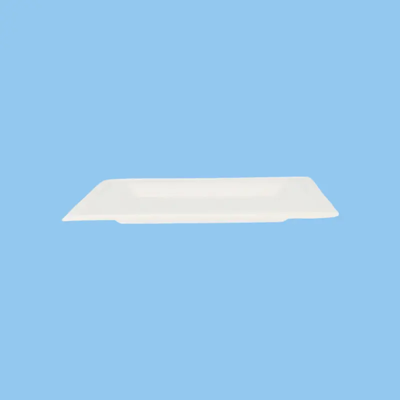 Biodegradable 8-Inch Square Plate – Sustainable Dining, 200-Count 1