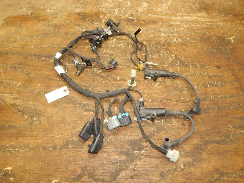 Kohler Confidant 27Hp Efi Wire Harness & Ignition Coils – Ezt750-3020 (16 176 02-S / 25 519 02-S) 1