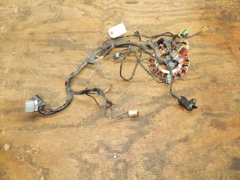 Kohler Ecv860 Wiring Harness – Genuine 19 176 11-S Assembly 1