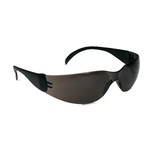 Zenon Anti-Fog Safety Glasses With Gray Lenses 1